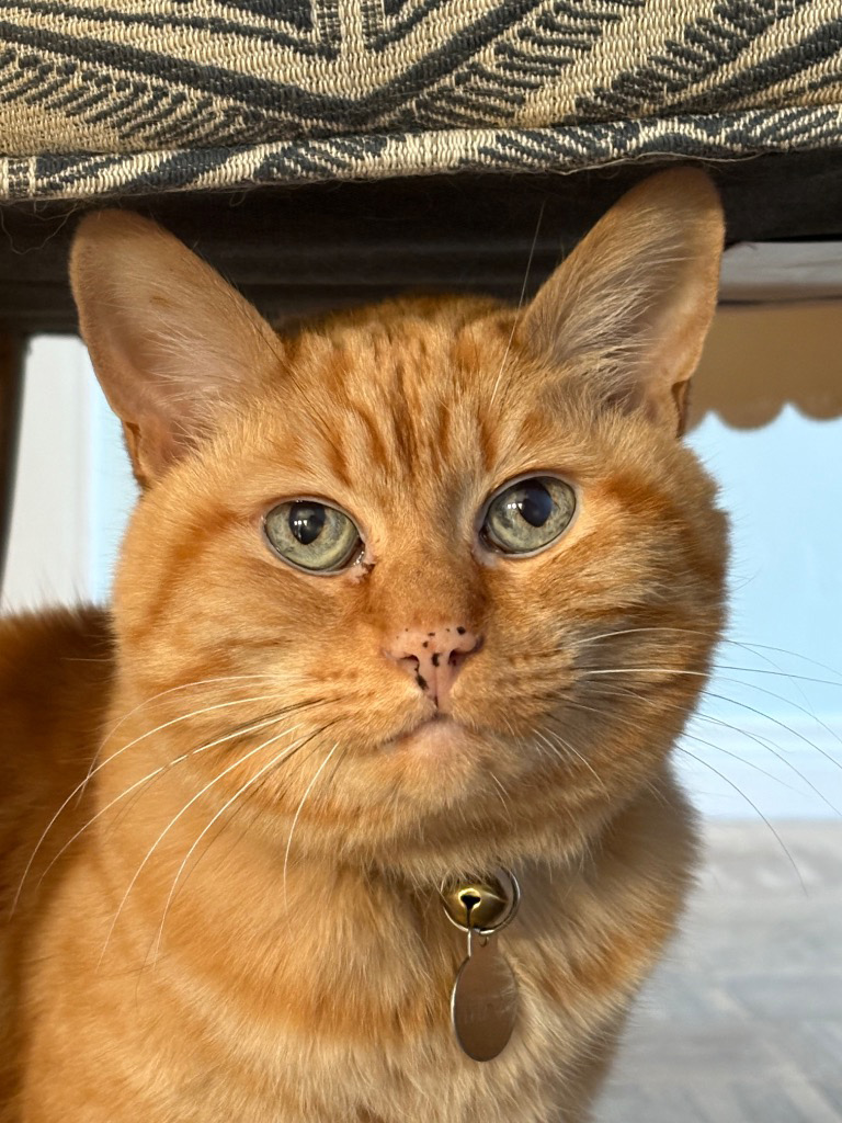 Peace of Mind On Vacation