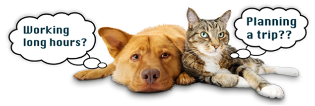 LA Pet Sitting & Dog Walking | Eagle Rock, Pasadena, Silver Lake, and more