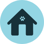 Pet Care in Los Angeles