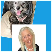 Professional Pet Sitter in Los Feliz