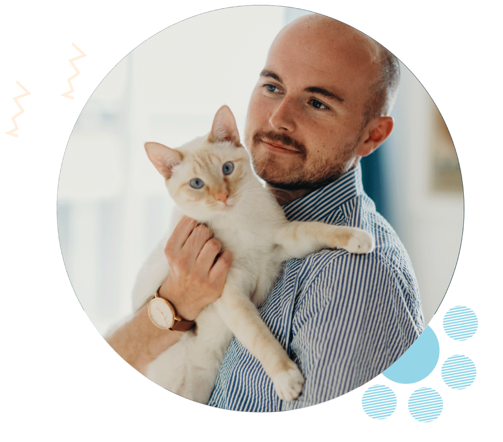 Highland Park Pet Sitter