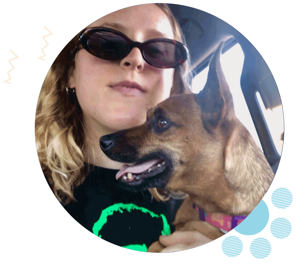 Highland Park Pet Sitter