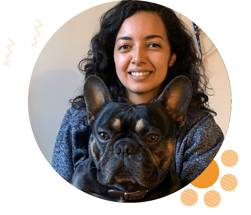 Huntington Park Pet Sitter