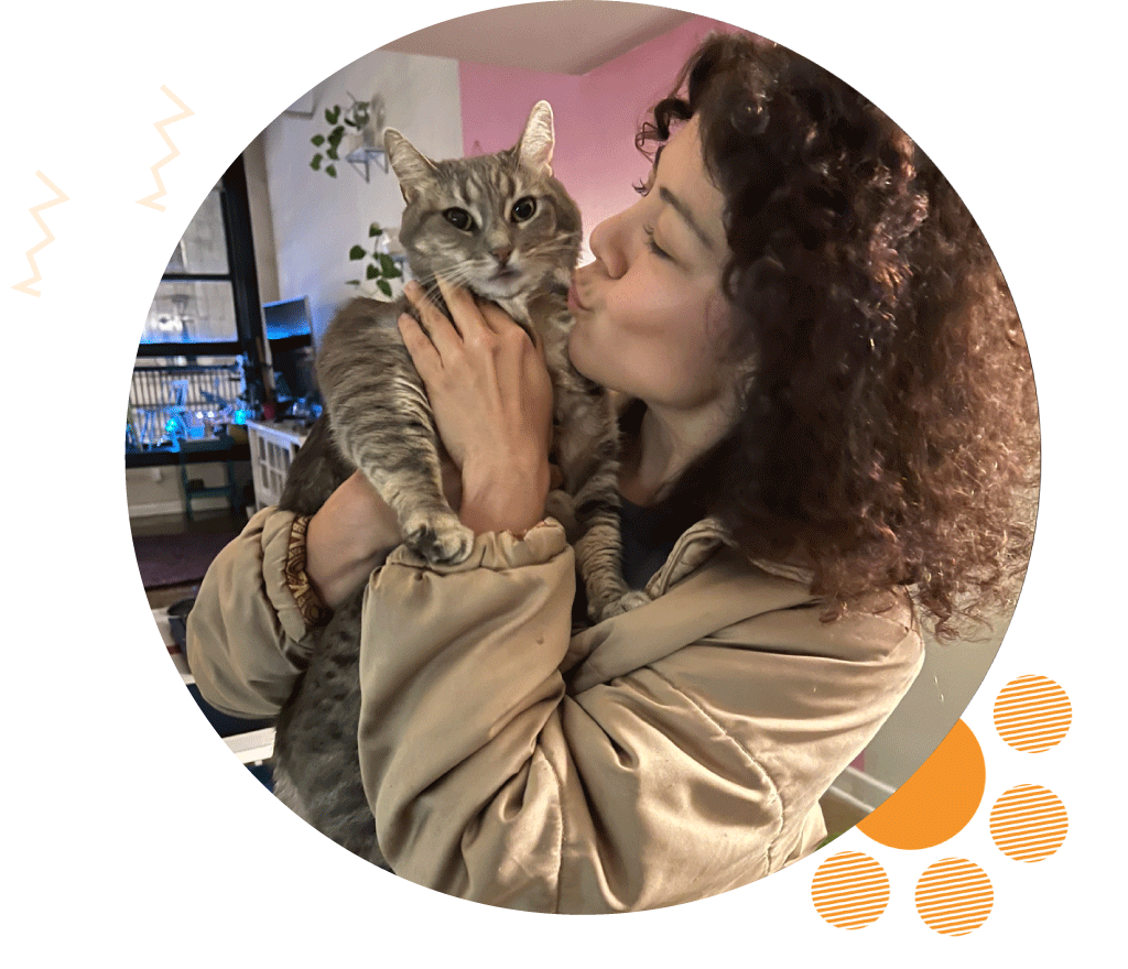 Angeleno Heights Pet Sitter