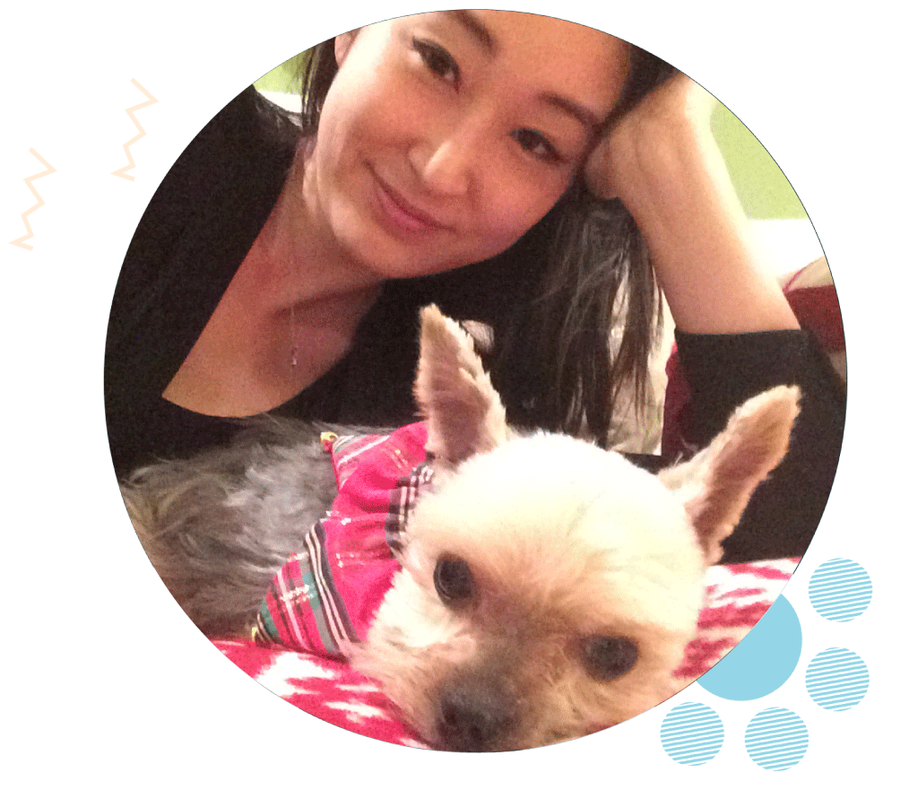 Northridge Pet Sitter