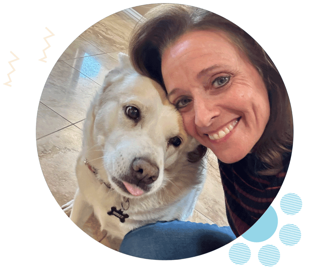 Hollywood Pet Sitter