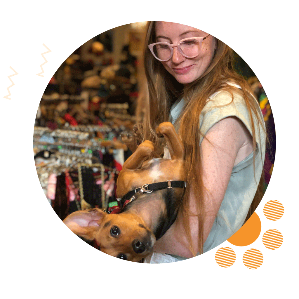 Echo Park Pet Sitter