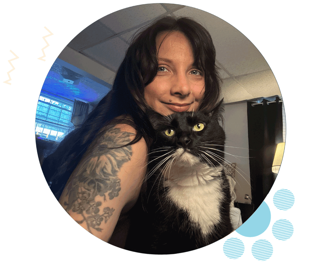 Valley Village Pet Sitter