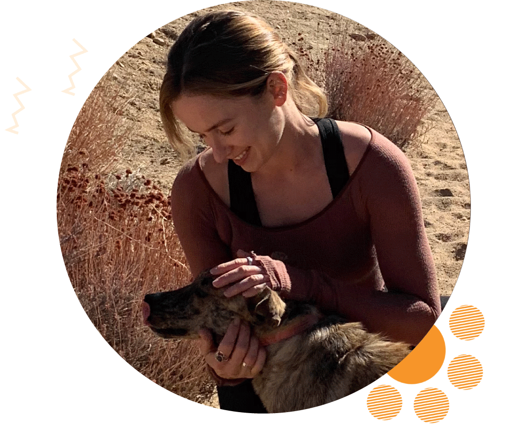 Highland Park Pet Sitter