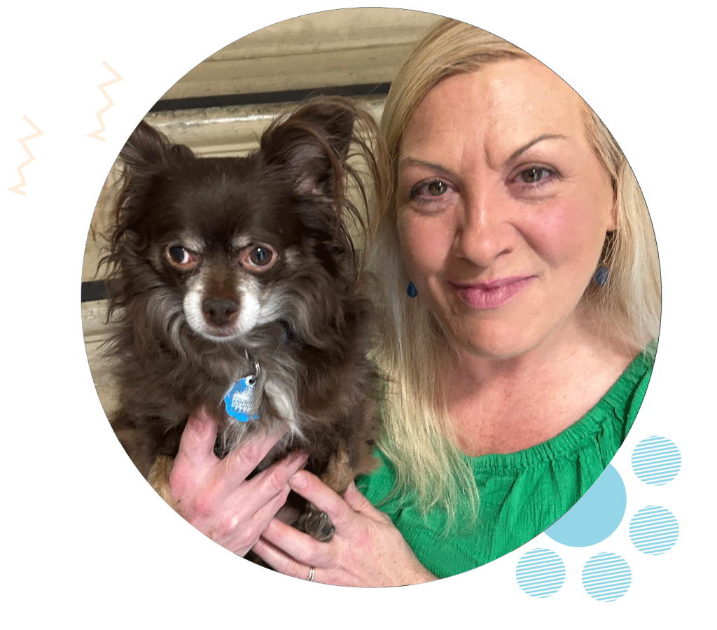 Hollywood Pet Sitter