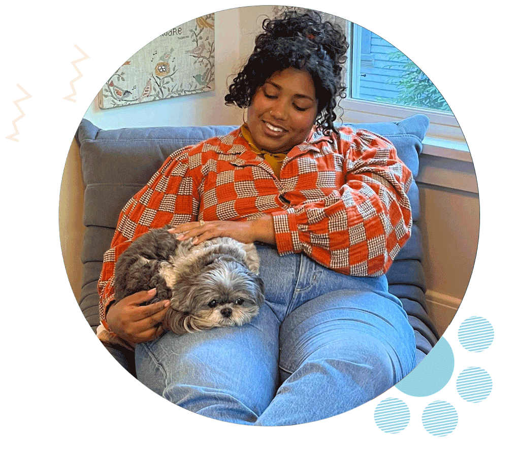 Highland Park Pet Sitter