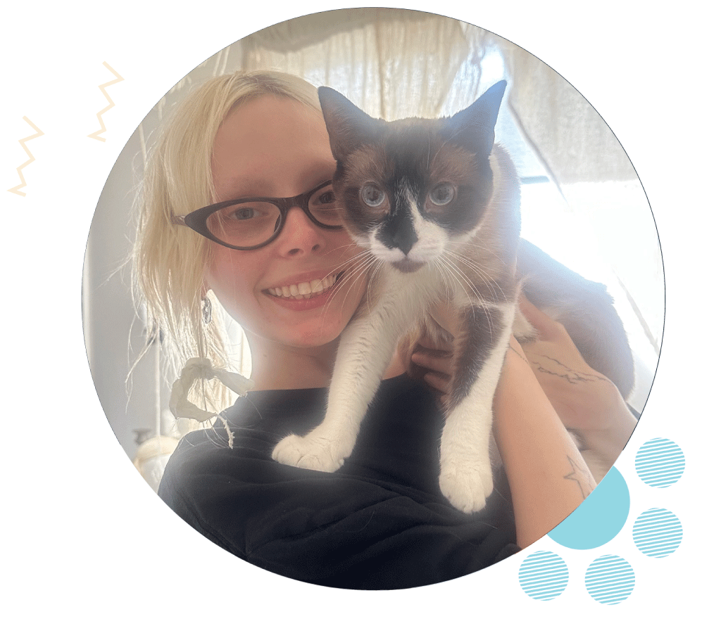 Victor Heights Pet Sitter