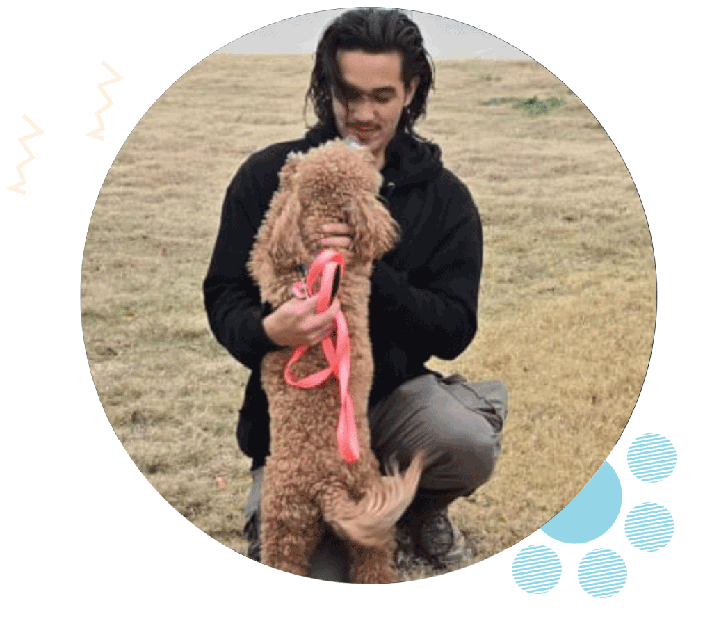 MidCity Pet Sitter