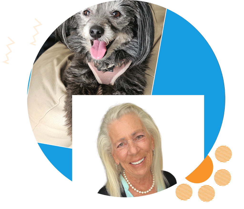 Los Feliz Pet Sitter