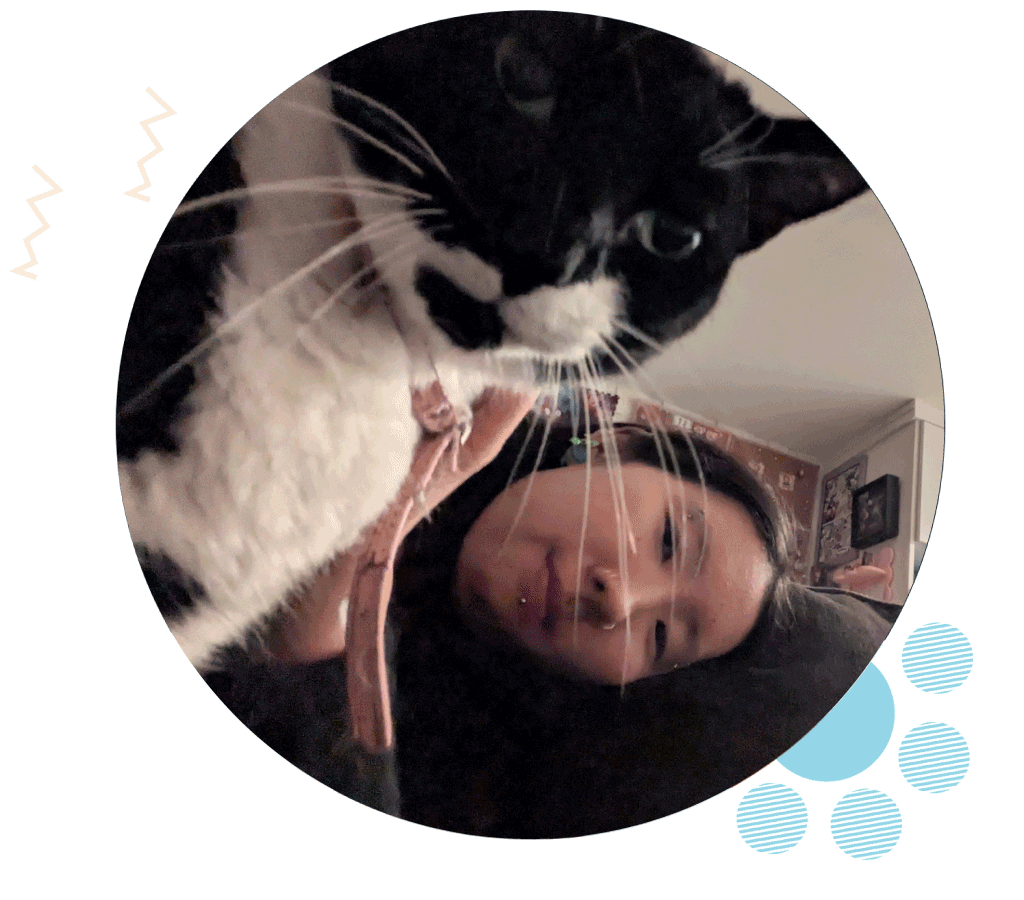 Westchester Pet Sitter